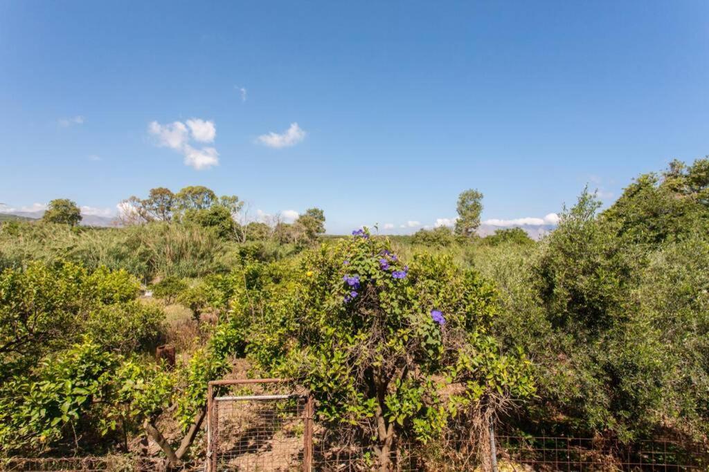 Vila Kaktos 1 Kíssamos Exteriér fotografie